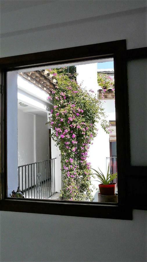 Lola5 Apartment กอร์โดบา ภายนอก รูปภาพ